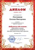 Диплом III степени Всероссийского конкурса профессионального мастерства "Фестиваль педагогических идей и проектов" Номинация "Эссе"
